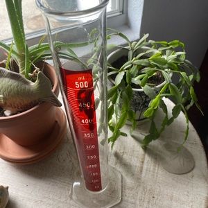 Decorative Graduated Cylinder Glassware Vase 🧪🌺